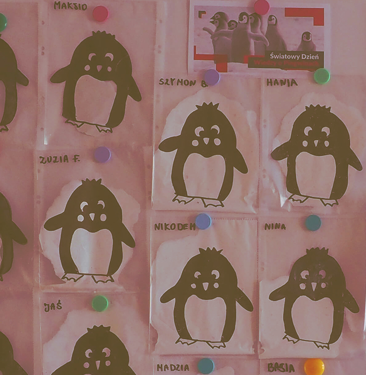 Zajęcia o pingwinach