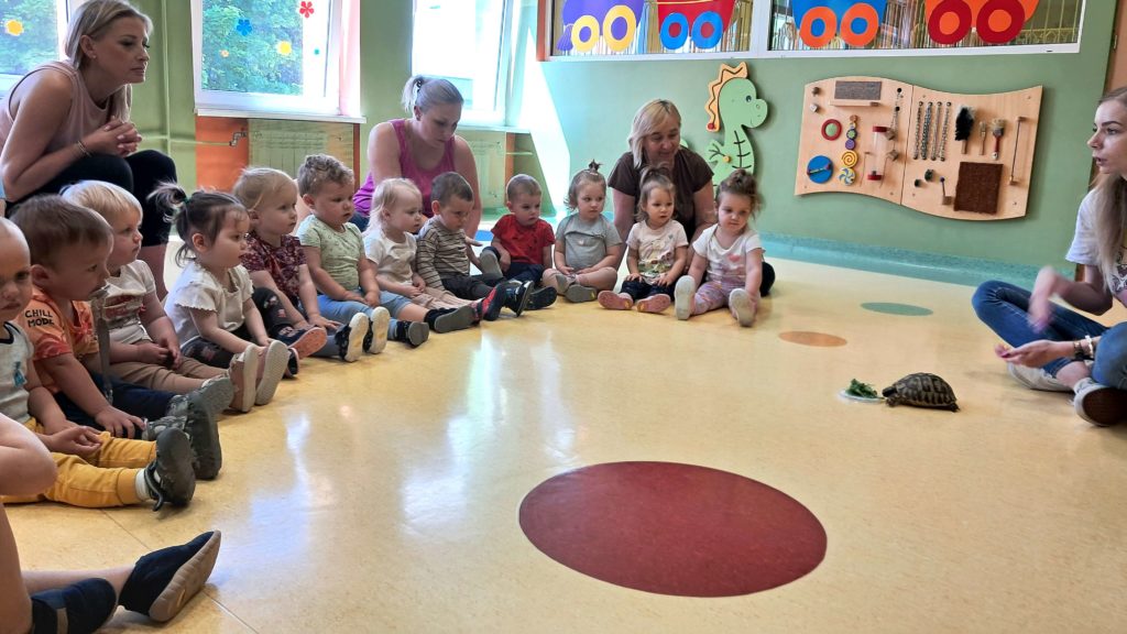 Dzieci oglądają żółwia grupa 1