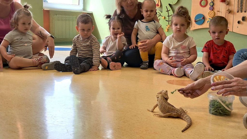Dzieci oglądają jaszczurkę grupa 1