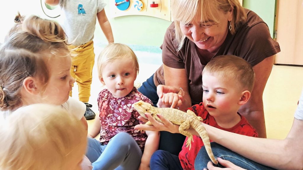 Dzieci oglądają jaszczurkę grupa 1
