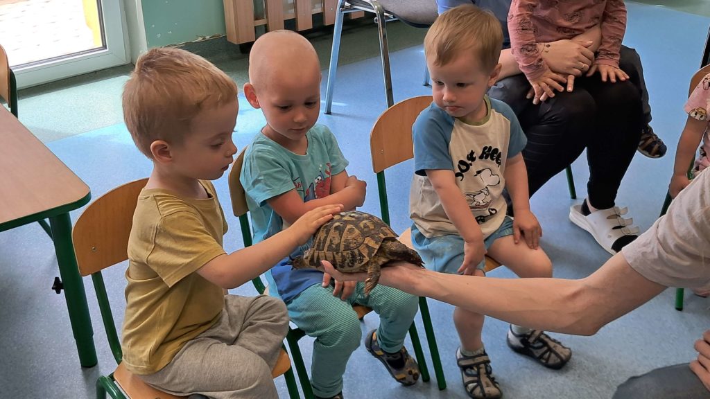 Dzieci oglądają żółwia grupa 2