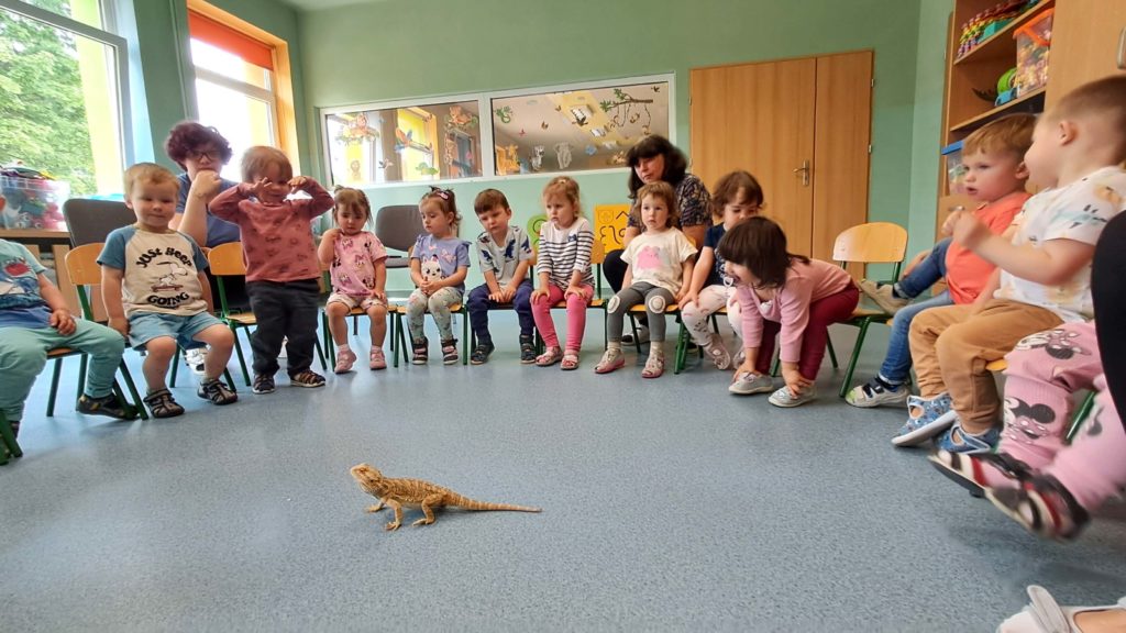 Dzieci oglądają jaszczurkę grupa 2