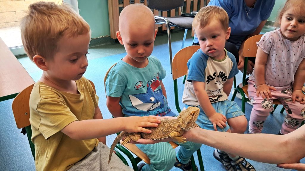 Dzieci oglądają jaszczurkę grupa 2