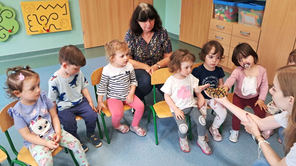 Dzieci oglądają węża grupa 2