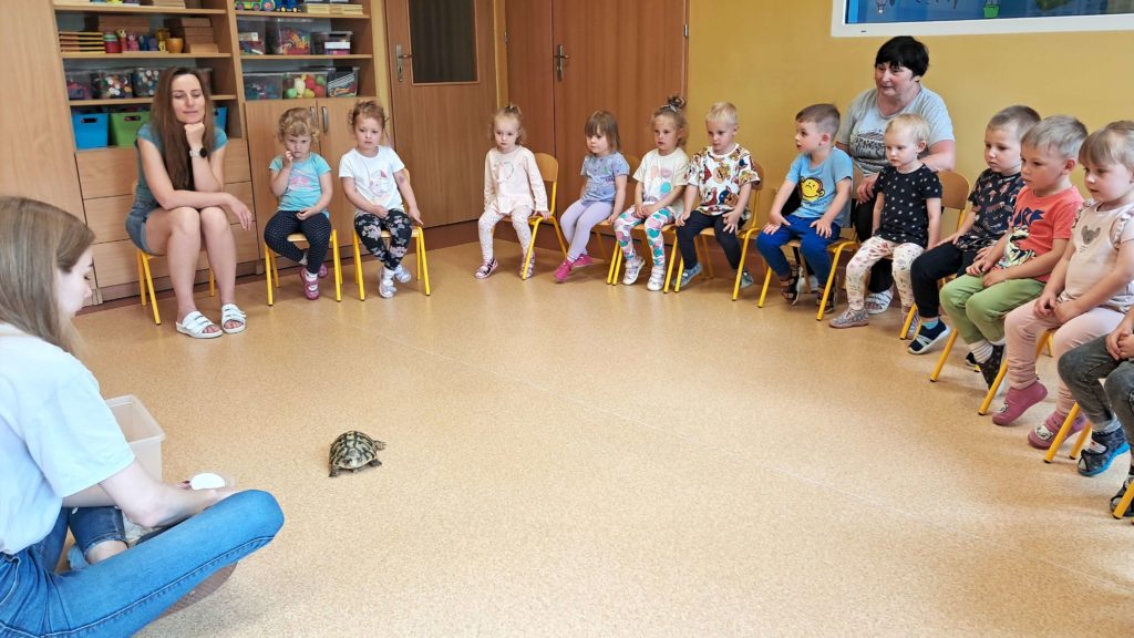Dzieci oglądają żółwia grupa 3
