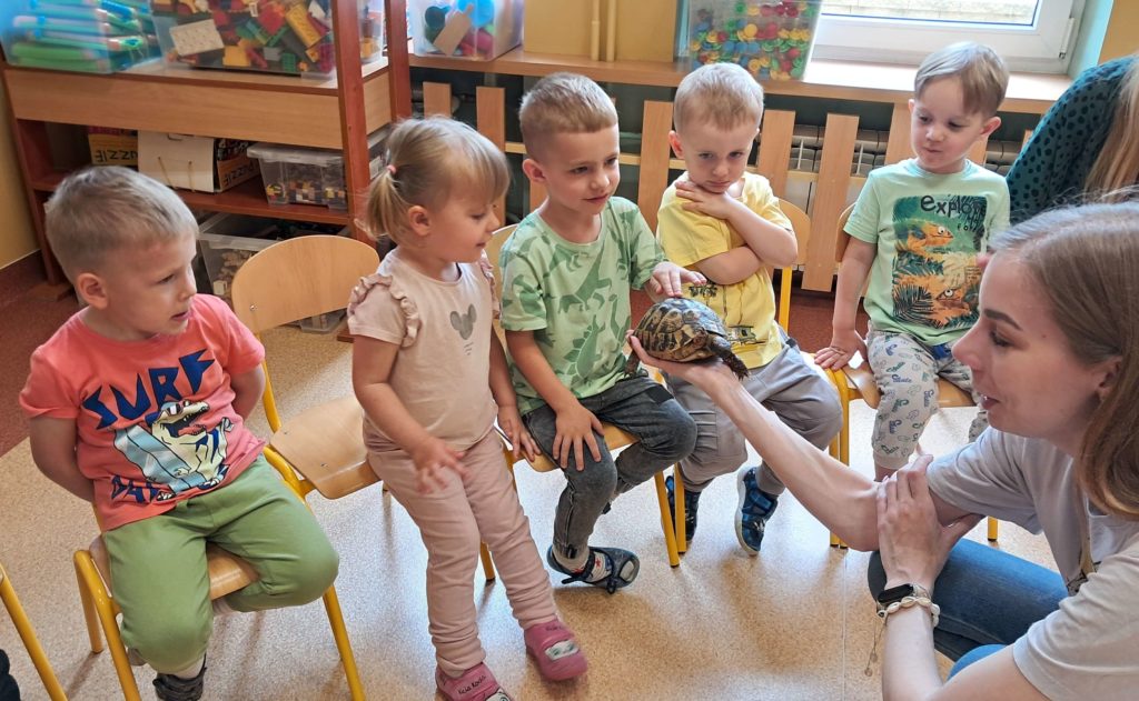 Dzieci oglądają żółwia grupa 3