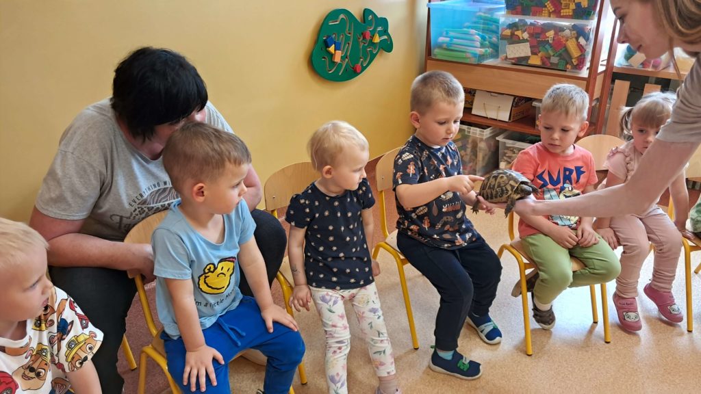 Dzieci oglądają żółwia grupa 3