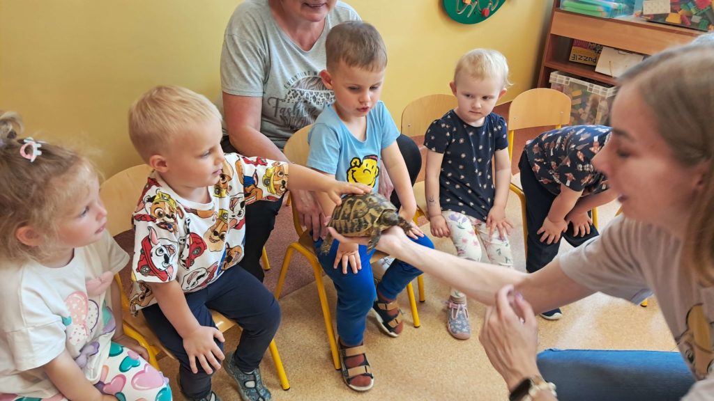 Dzieci oglądają żółwia grupa 3