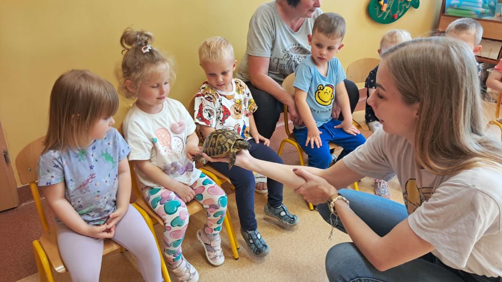 Dzieci oglądają żółwia grupa 3