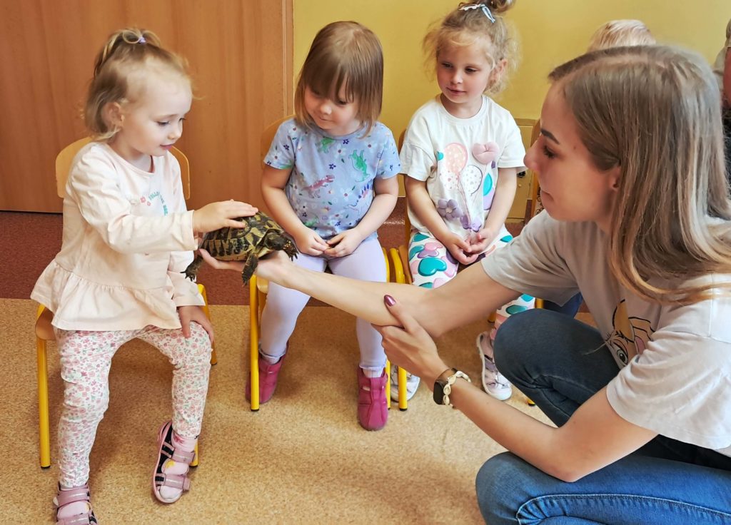 Dzieci oglądają żółwia grupa 3