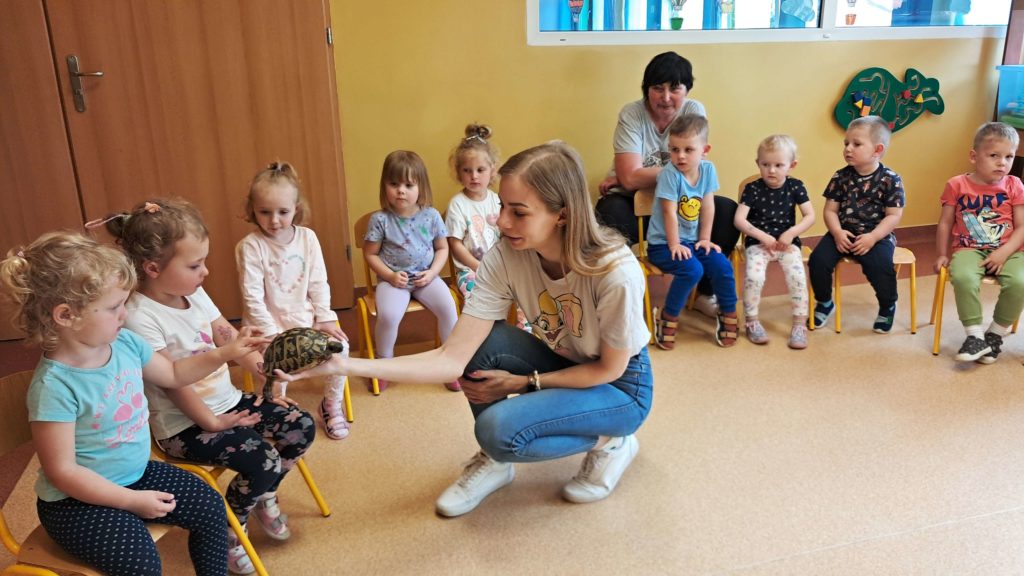 Dzieci oglądają żółwia grupa 3