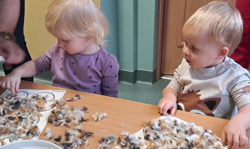 Dzieci wyklejają misie, grupa 2